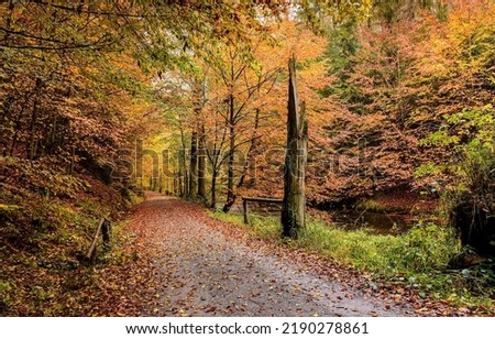 The trail in the autumn forest landscape. Autumn landscape Royalty-Free Stock Photo #2190278861