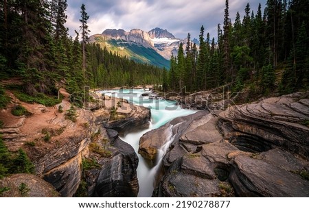 River in mountain forest. River tree near forest waterfall Royalty-Free Stock Photo #2190278877