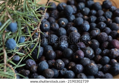 Beries of Juniper, Juniperus communis Royalty-Free Stock Photo #2190302739
