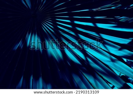 Light and shadow on palm leaf, dark blue nature background Royalty-Free Stock Photo #2190313109