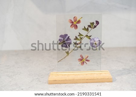 Beautiful pressed flowers in a Herbarium Frame. Pressed and framed leaves and flowers in front of grey wall.
