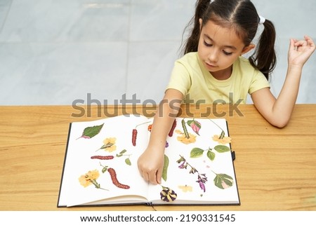 Child with dried flowers making herbarium on dining wood table in home. Dried pressed flowers view from above. Royalty-Free Stock Photo #2190331545