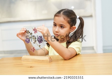 Child making picture from pressed flowers on a herbarium frame.