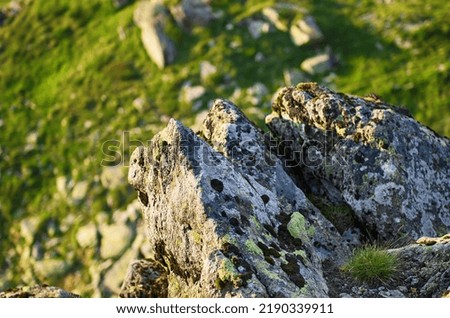 Carpathian mountains summer landscape, seasonal natural background with the rock