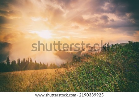 Foggy morning summer fairy landscape with clouds, fog and sun shining