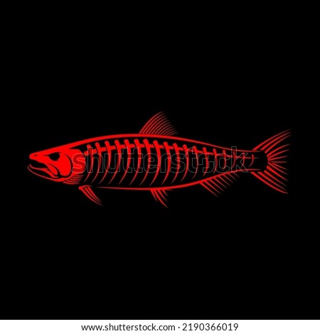 Salmon Skeleton Vector. Unique and Fresh Skeleton fish of Salmon. Great to use as your salmon fishing activity. 