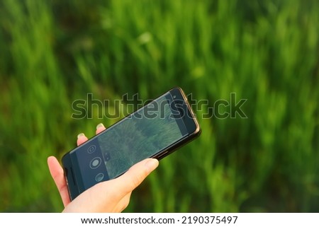 Defocus woman uses phone with a blank screen on a green meadow. Ecology concept. Digitization. Nature and digital. Out of focus.