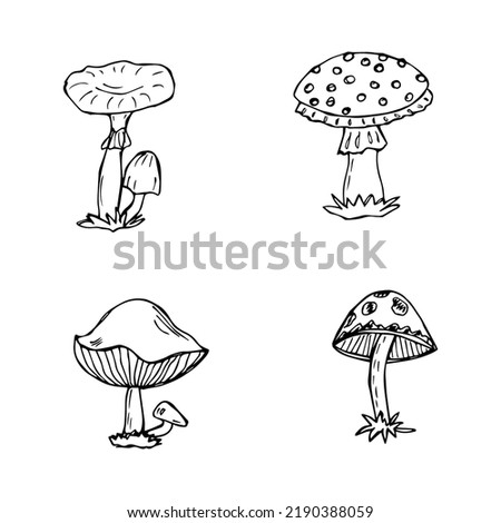 set of hand drawn mushrooms, black and white vector