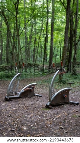 Sports equipment in the forest. Outdoor sports ground with outdoor exercise equipment in the forest.