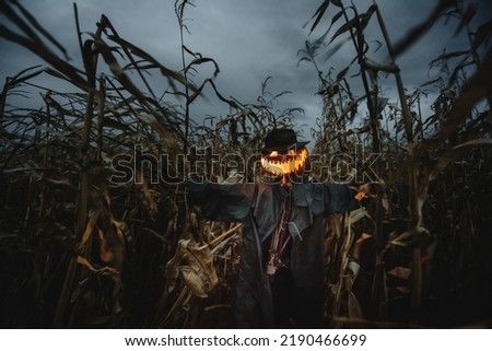 Scary scarecrow with pumpkin head in a hat and coat on night cornfield. Spooky Halloween holiday concept. Halloweens background