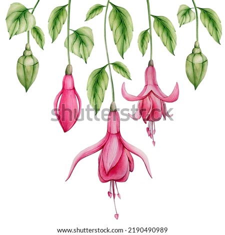 Pink Hand Drawn Watercolor Fuchsia Flower Illustration. Exotic Watercolour Floral Clpart. Tropical Flowers Aquarell Frame. Summer Floral Wreath isolated on white background. Perfect for wedding design