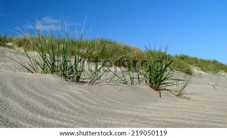 Denmark - Dunes