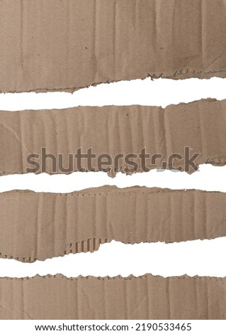 Torn Kraft paper set isolated on white background, Clipping paths for design work empty free space mock up product display presentation.