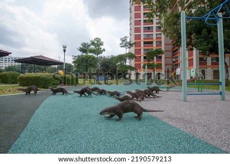 A family of smooth-coated otters (Lutrogale perspicillata), known locally as the Bishan family travels through a public housing estate in Bishan, Singapore.