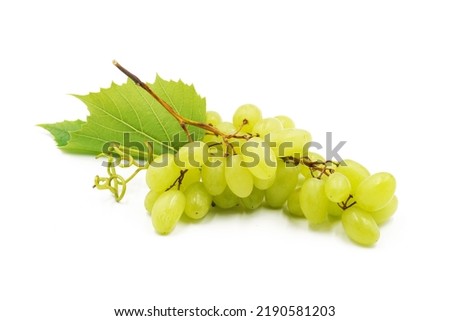 Sweet green grapes with leaf on white background. Fresh grape  bunch.