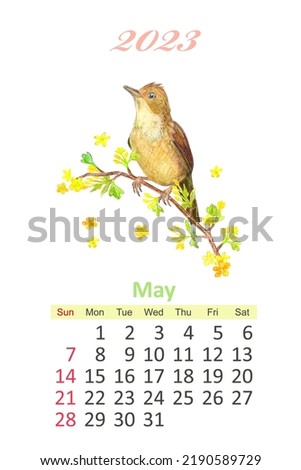 bird calendar 2023. watercolor painting. may