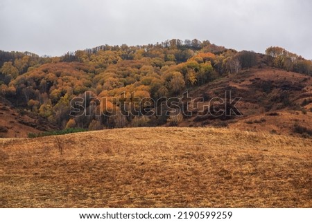 Misty rainy autumn mountain landscape in the morning. View of the misty mountain slopes in the distance. Morning foggy hills. Autumn in remote foothills in northern China. Royalty-Free Stock Photo #2190599259