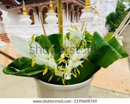 Making beautiful flowers local northtern thai style of globba white dragon or ginger orchid(Globba winitii C.H. Wright, Lobster claw(Heliconia spp.))flowers and green leaves of them to pray to Buddha