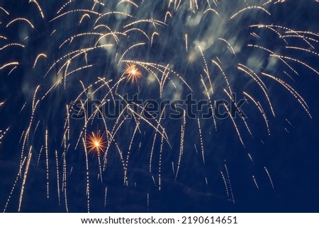 Colorful fireworks in the night sky. Festive pyrotechnic show. Background image.