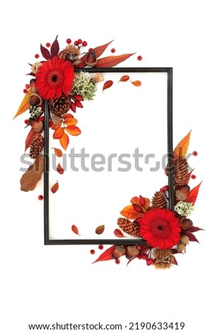 Vivid Autumn and Thanksgiving background border with red leaves, flowers, nuts, berries. Nature Fall composition with natural flora. Black frame on white background. Flat lay copy space.