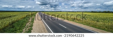 Aerial view of empty intercity road between green agricultural fields. Top view from drone of highway roadway Royalty-Free Stock Photo #2190642225