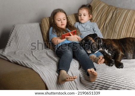 two girls sisters of preschoolers are sitting at home on the couch and watching the phone, their four-legged friend is sleeping on their legs a dog of the German boxer breed