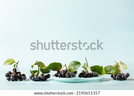 Chokeberry, aronia melanocarpa. Bunches of black chokeberry berries with leaves on blue plate on light blue background.  Copy space. Royalty-Free Stock Photo #2190651357