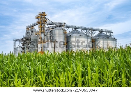 agro silos granary elevator with seeds cleaning line on agro-processing manufacturing plant for processing drying cleaning and storage of agricultural products in rye corn or wheat field Royalty-Free Stock Photo #2190653947
