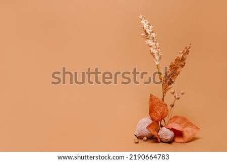 Autumn composition of dried flowers on orange background with copy space. Autumn card thanksgiving, fall decoration