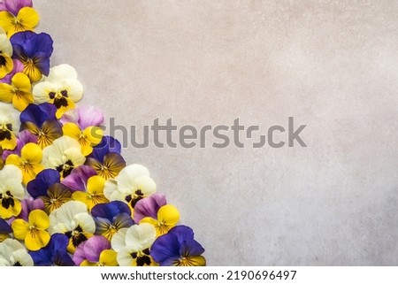 Assortment of Bearded Pansies on Table with Copy Space