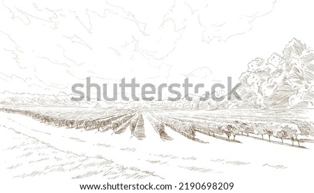 Vineyard landscape vector sketch design. Hand drawn illustration Royalty-Free Stock Photo #2190698209