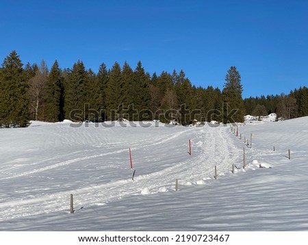 Local mountain road under fresh snow winter cover in a gentle alpine valley at the foot of the Alpstein mountain in the Appenzell Alps massif - Switzerland (Schweiz)