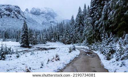 Rural Road in Mountains in Winter Beautiful Scene of Nature - Slovenia