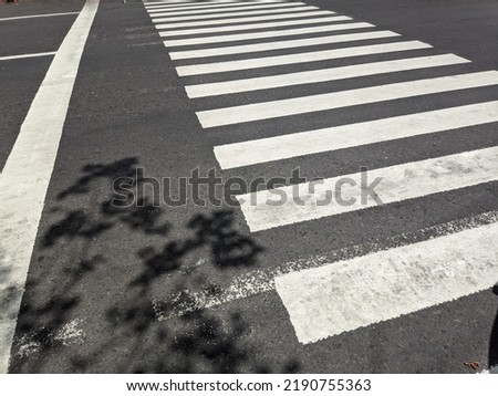 zebracross road suitable for abstract background 