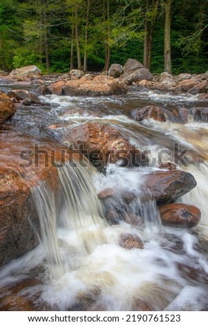 Water rushing over rocks along river rapids in forest Royalty-Free Stock Photo #2190761523