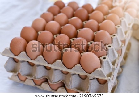 Chicken eggs, brown chicken eggs in a cardboard box. Eggs per pack. Egg panels arranged on a chicken farm. The concept of egg prices in the market that has been adjusted up - down.