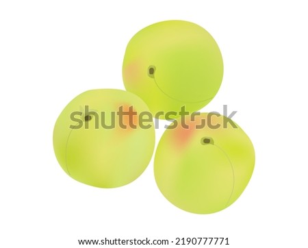 It is an illustration of a unripe Japanese apricot. Royalty-Free Stock Photo #2190777771