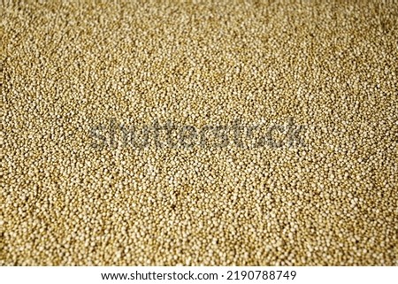 grain cereals quinoa close-up background backdrop screensaver. High quality photo