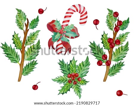 Watercolor holly twigs Christmas clip-art. Set of traditional New Year tree branches with berries. Striped red-white lollipop decorated with a festive bow. Hand drawn postcard.
