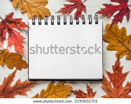 Beautiful greeting card with notepad and yellow leaves. Close-up, view from above, nobody. Concept of preparation for a professional holidays. Congratulations for relatives, friends, colleagues