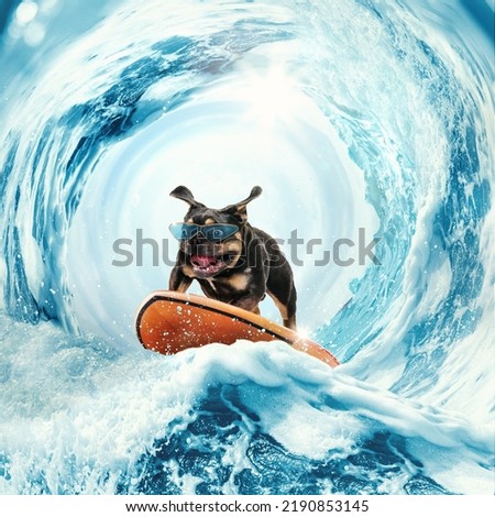 Scared, surprised and shocked surf rider. Collage with cute funny bulldog dog surfing on huge wave in ocean or sea on summer vacation over blue-white background. Concept of hobbies, animal