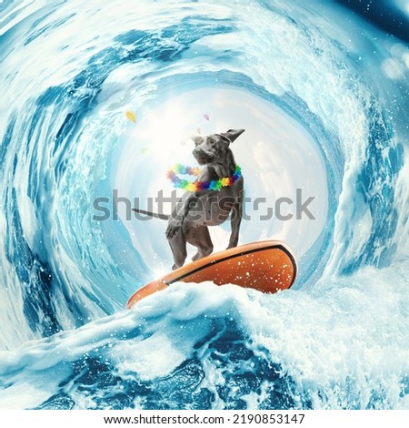 Grace. Adorable silver color Weinerman dog surfing on huge wave in ocean or sea on summer vacation with modern sunglasses and flower chain. Concept of rest, sport, adventures