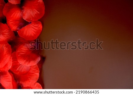 red rose and brown background