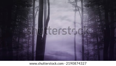 dark fantasy forest background with fog