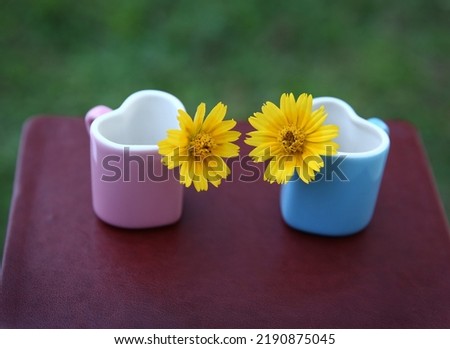 daisy yellow flower in tea cup on natural green background.