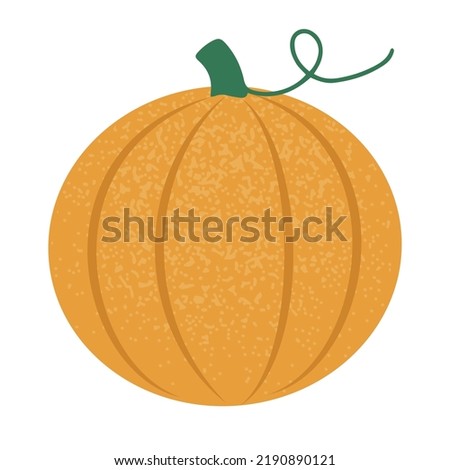 Hand drawn round autumn pumpkin. Isolated on white vector illustration in flat style