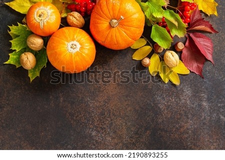 Seasonal background. Autumn composition with autumn maple leaves, pumpkin, nuts and berries on a slate background. Top view flat lay background with copy space.
