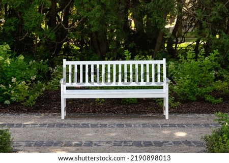 white Rustic wooden bench in a park
