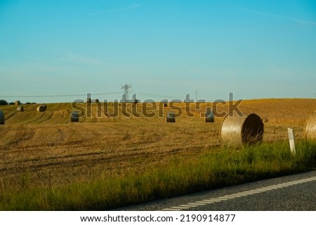 Field of freshly bales of hay with beautiful sunset. Harvested field with straw bales. Agriculture background with copy space. Summer and autumn harvest concept.