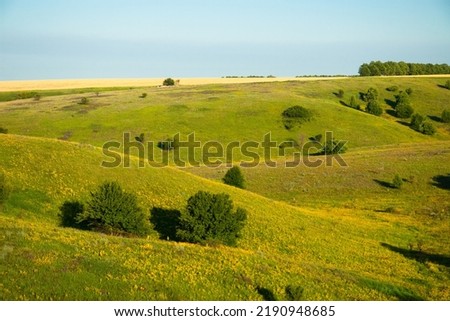 Scenic farmlands landscape with lush green pasture hills and golden canola in bloom. High quality photo Royalty-Free Stock Photo #2190948685